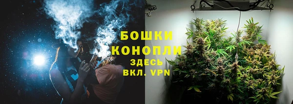 прущий лед Заводоуковск