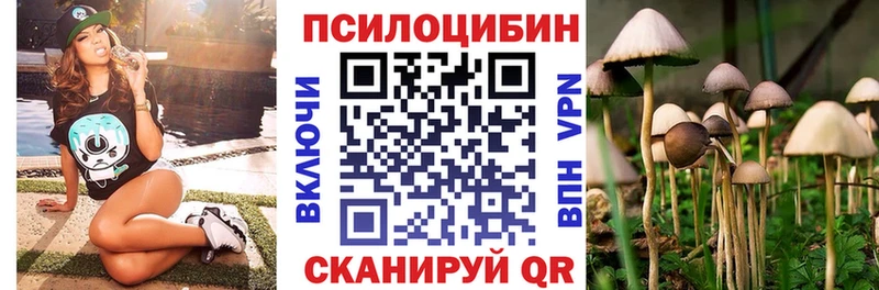 Псилоцибиновые грибы Psilocybine cubensis  Оренбург 